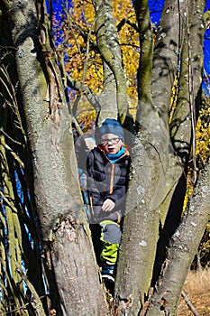 Young boy in the tree