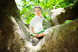 Young boy in tree