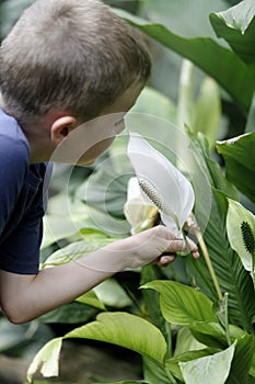 Young boy with tropical flowers