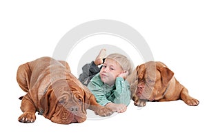 Young boy and two big dogues de bordeaux