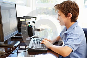 Young boy using computer at home