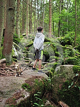 Young boy walks the small dog