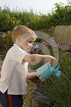 Young boy watering garden.