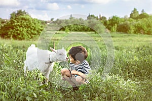 A young boy wearing stripped vest squats and talks to a white goat on a lawn on a farm They look at each other attentivelyA