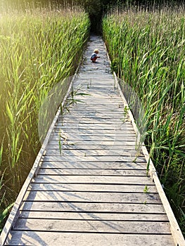 Young boy on wooden dock