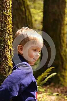 Young boy in the woods