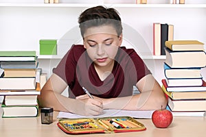 Young boy writing his homework at school