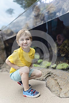 A young boy in a yellow shirt is crouching down in front of a fish tank