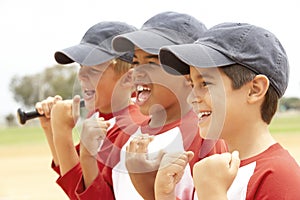 Young Boys In Baseball Team