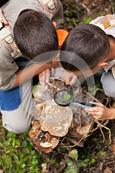 Young boys on a camping investigated nature using magnifying gla