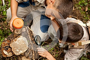 Giovane i ragazzi sul campeggio indagato natura 