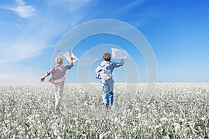 Young boys in the field with a kite