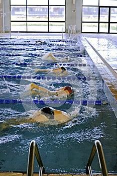 Nuoto coperto piscina 