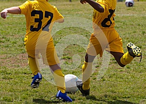 Young boys wearing yellow soccer jerseys are kicking a soccer ball in a grassy field