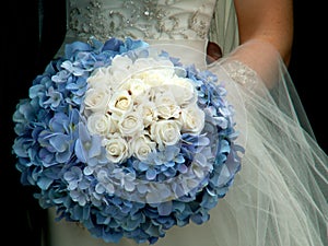 Periwinkle hydrangeas and white roses bridal bouquet