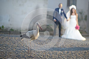 Young bride and groom getting married