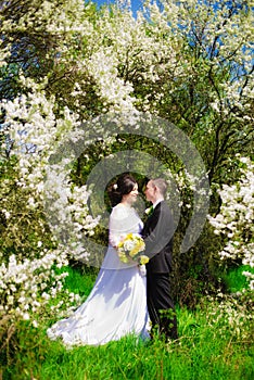 Young bride and groom in a lush garden in the spring