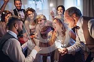 A young bride, groom and other guests dancing and singing on a wedding reception.