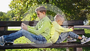 Young Brothers Enjoying Outdoors with Online Games