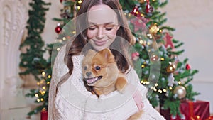 A young brunette in a white sweater with long hair holds a red Spitz dog in her hands on the background next to a