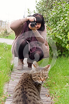 Young brunette woman with camera, woman taking photo of grey striped cat