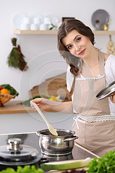 Young brunette woman cooking soup in kitchen. Housewife holding wooden spoon in her hand. Food and health concept