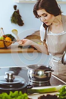 Young brunette woman cooking soup in kitchen. Housewife holding wooden spoon in her hand. Food and health concept