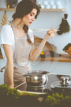 Young brunette woman cooking soup in kitchen. Housewife holding wooden spoon in her hand. Food and health concept