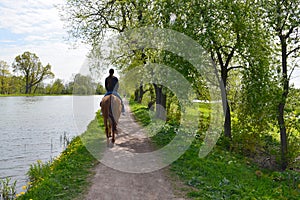 A young brunette woman in jeans and blue hoodie rides a bay horse along a path by the lake in the shade of a trees. Back view