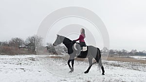 Young brunette woman rides a beautiful black horse on a field or snow-covered farm in winter. Horseback riding