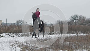 Young brunette woman rides a beautiful black horse on a field or snow-covered farm in winter. Horseback riding
