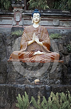 Young Buddha statue