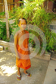 Young Buddhist monk