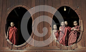 Young Buddhist Monks 2