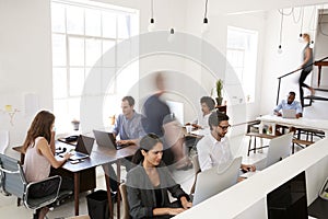 Young business colleagues working in a busy open plan office photo