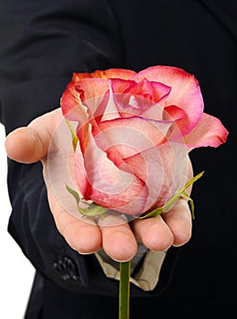 Young business man hold rose