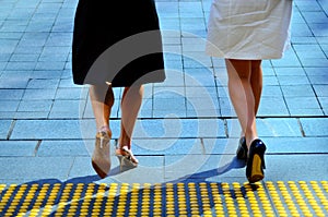 Young business women legs walking on city street together.