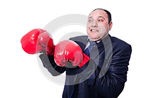 Young businessman boxer isolated