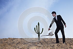 Young businessman watering a cactus in the desert