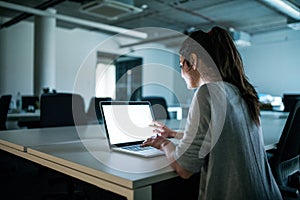 Young businesswoman with computer sitting in an office, working.