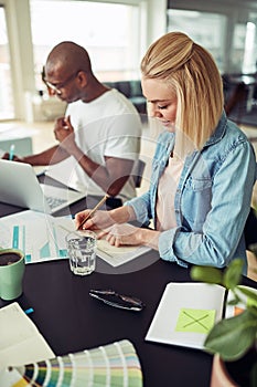 Young businesswoman going over paperwork during an office meetin