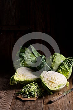 Young cabbage