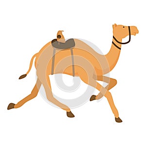 Young camel run icon cartoon vector. Chase rearing