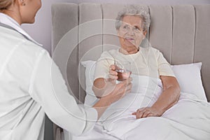 Young caregiver giving water to senior woman in bedroom. Home health care service