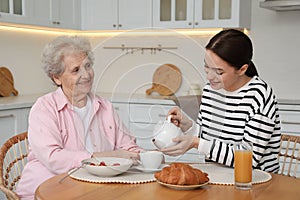 Young caregiver serving breakfast for senior woman at table. Home care service