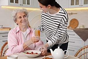 Young caregiver serving breakfast for senior woman at table in kitchen. Home care service