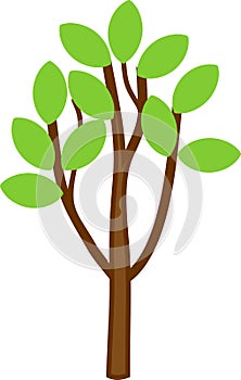 Young cartoon deciduous tree with branched crown and green leaves on branches
