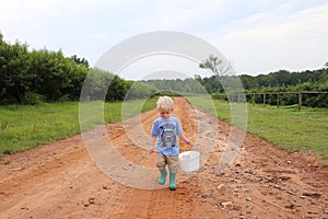 Young caucasian boy collecting berries in a peach orchard walking down a dirt road alongside the peach trees