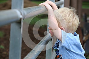 Young caucasian boy looking through the farm gate into the pasture