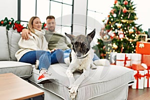 Young caucasian couple smiling happy and hugging sitting on the sofa with dog by christmas tree at home